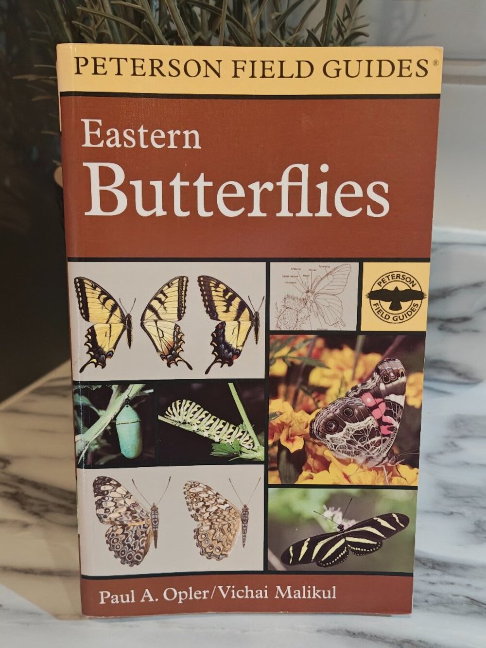 Peterson Field Guide Eastern Butterflies Paul Opler Vichai Malikul Nature Book